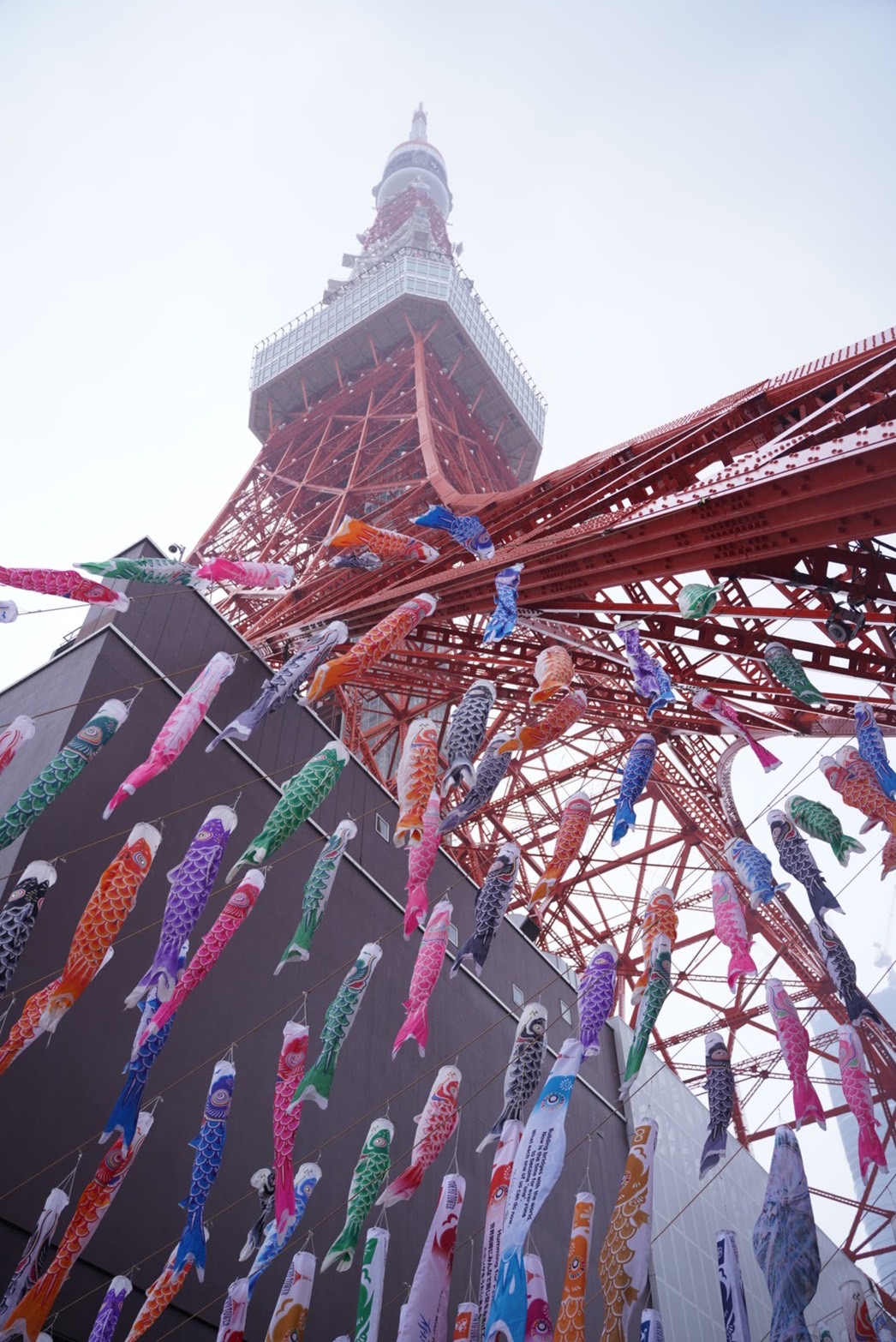 株式会社TOKYO TOWER主催『333匹の鯉のぼり』
